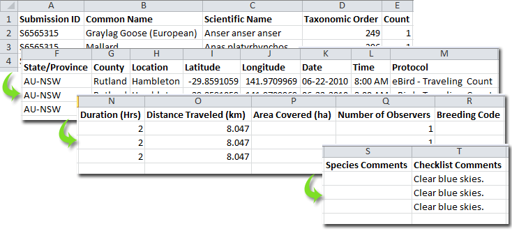 MyEBirdData.csv opened in a spreadsheet, one row per observation