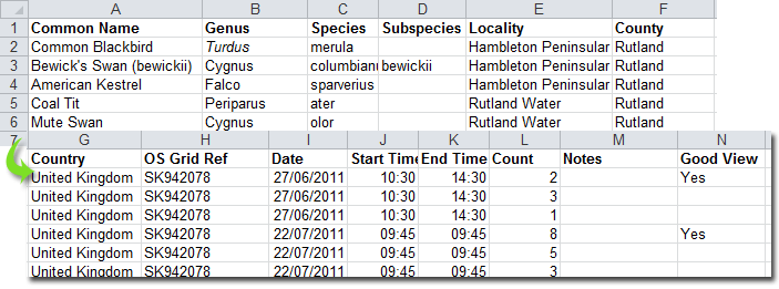 The exported CSV opened in a spreadsheet, one row per sighting